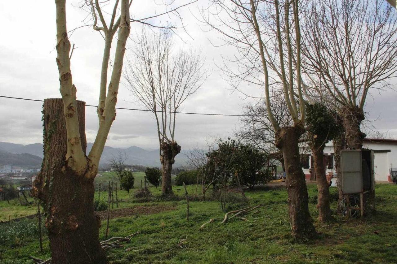 Apartamentos Rurales Patxillaborda Mende Lezo Exterior foto